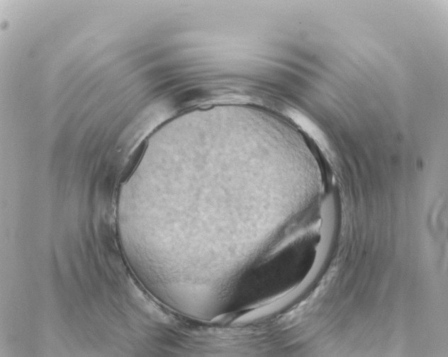 X0000088381193200706121137