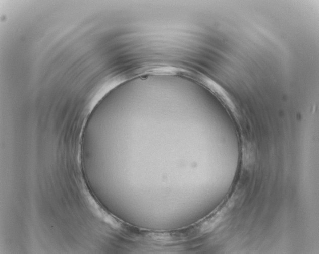 X0000088381194200706121137