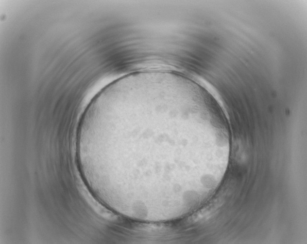 X0000088381195200706121137