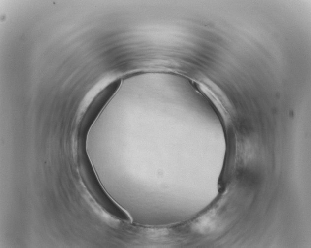 X0000088381196200706121137