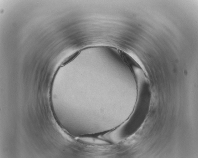 X0000088381197200706121137