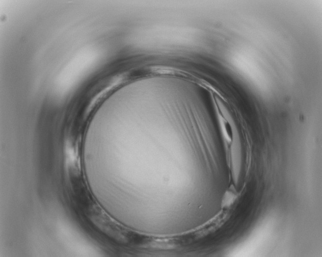 X0000088381198200706121137