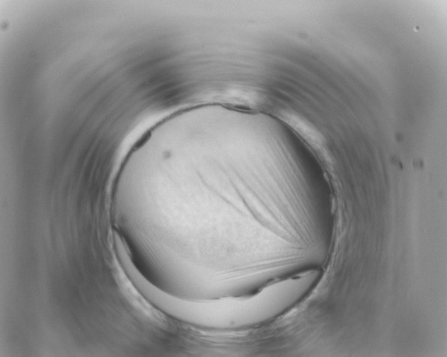 X0000088381200200706121137