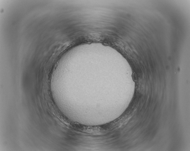 X0000088381201200706121136