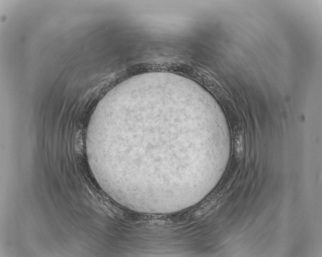 X0000088381204200706121136