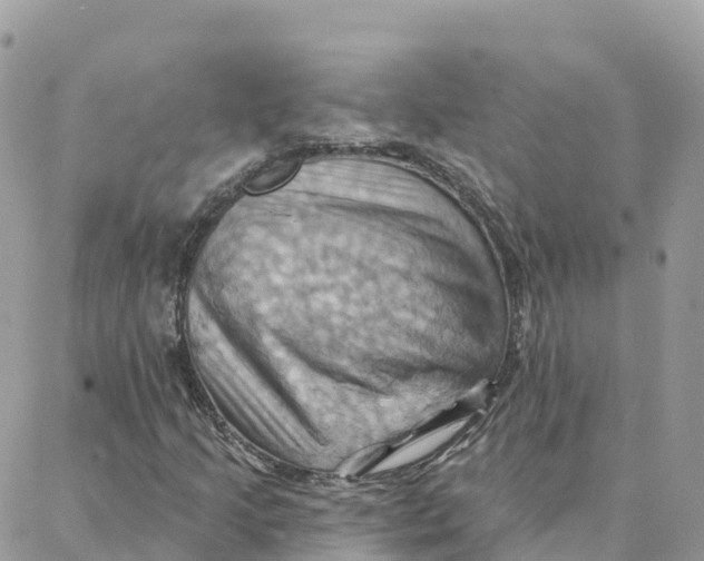 X0000088381205200706121136