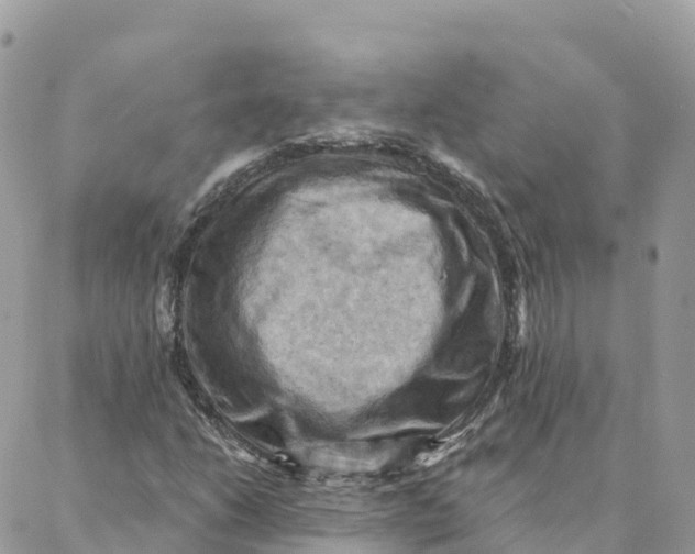 X0000088381206200706121136