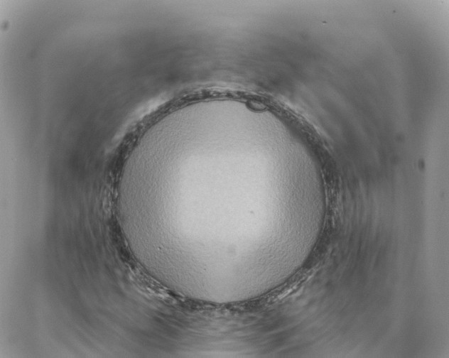 X0000088381207200706121136