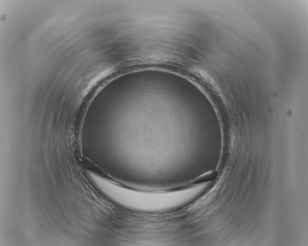 X0000088381210200706121136