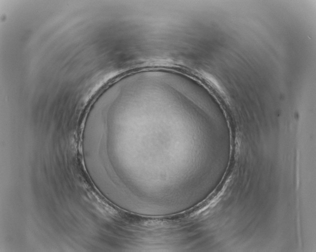 X0000088381212200706121136