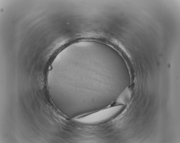 X0000088381213200706121136