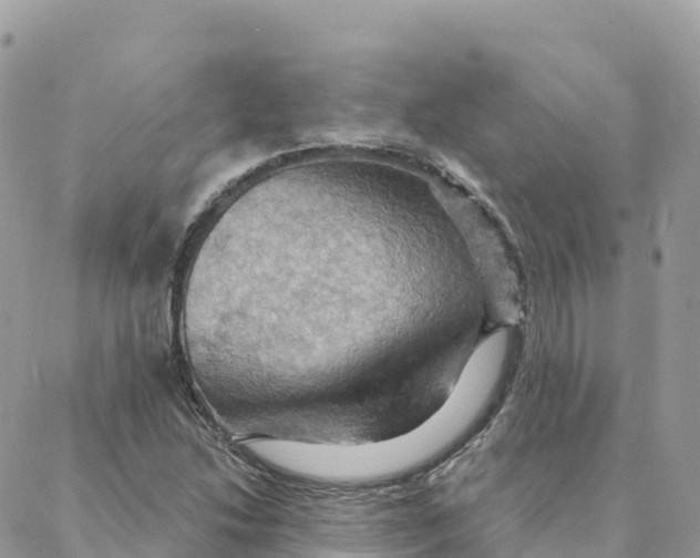 X0000088381214200706121136