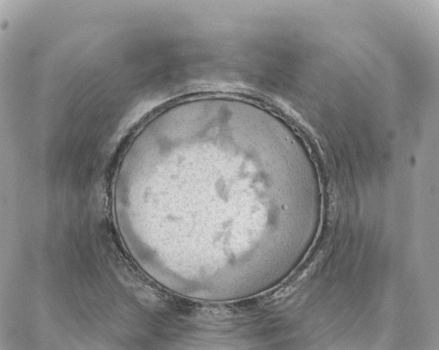 X0000088381215200706121136