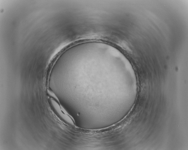 X0000088381216200706121136