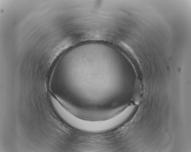 X0000088381218200706121137