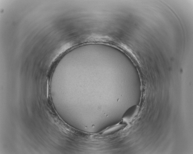 X0000088381219200706121137