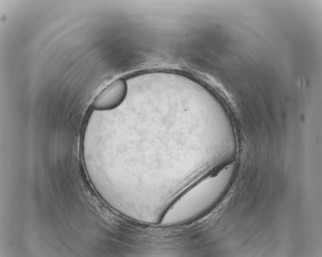 X0000088381220200706121137