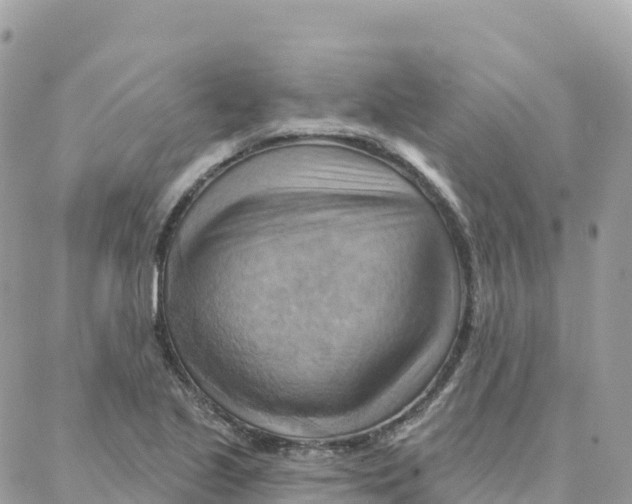 X0000088381221200706121137