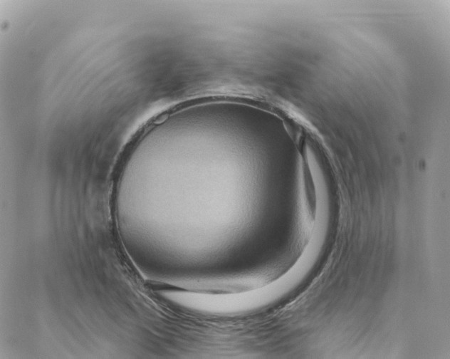 X0000088381222200706121137