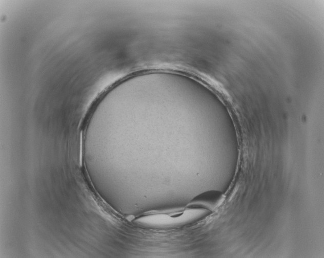 X0000088381223200706121137