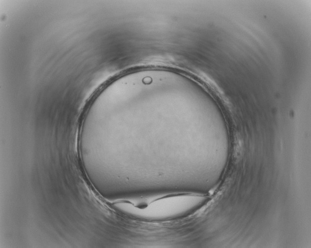 X0000088381224200706121137