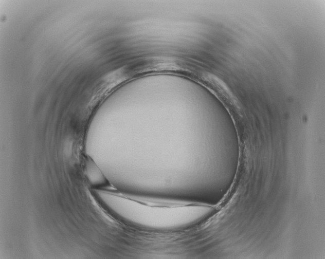 X0000088381225200706121137