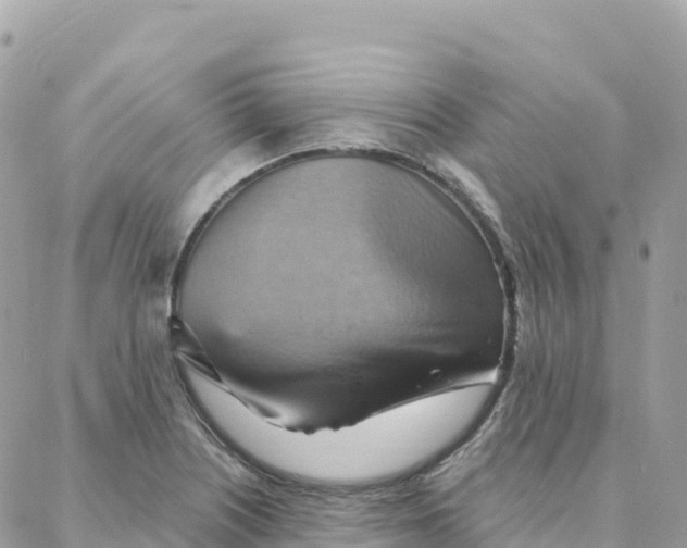 X0000088381226200706121137