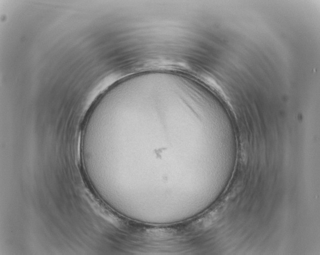 X0000088381227200706121137