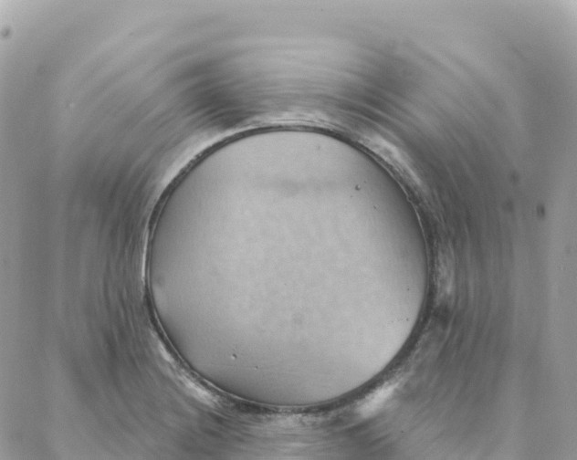 X0000088381228200706121137