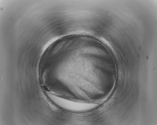 X0000088381230200706121137