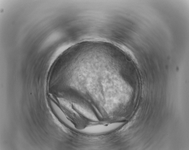 X0000088381231200706121137