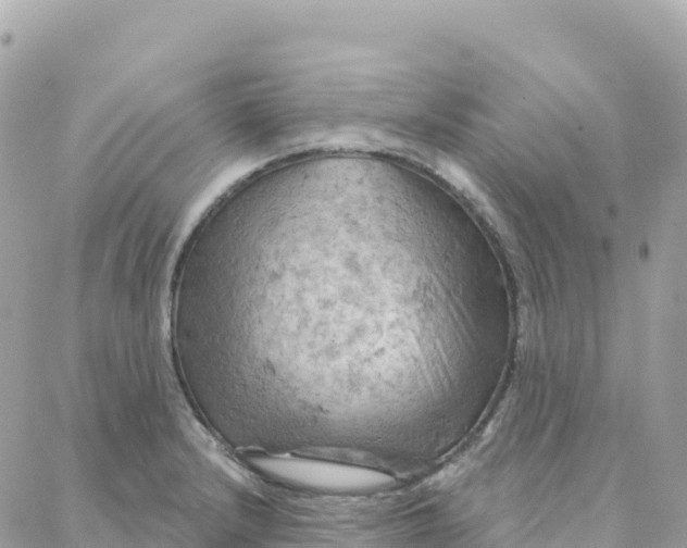 X0000088381232200706121137