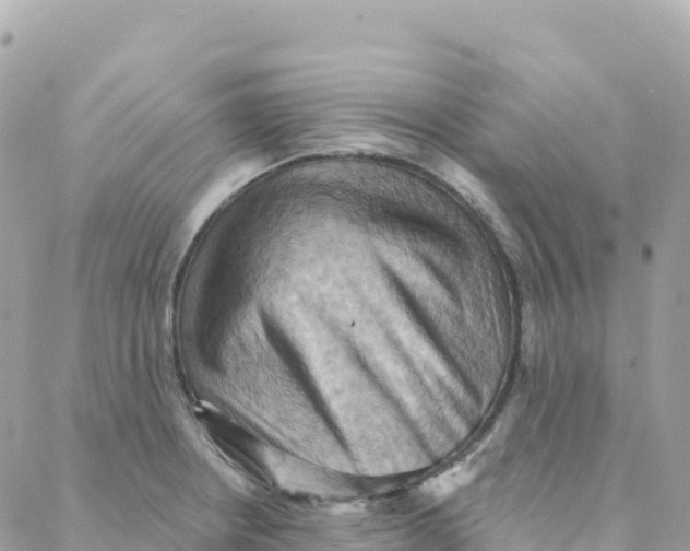 X0000088381234200706121137