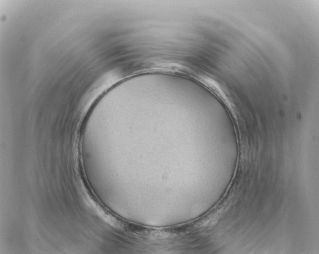 X0000088381235200706121137