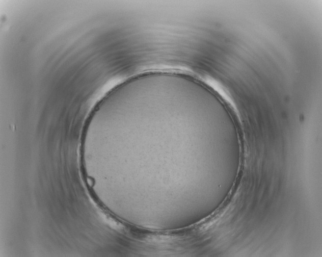 X0000088381237200706121137