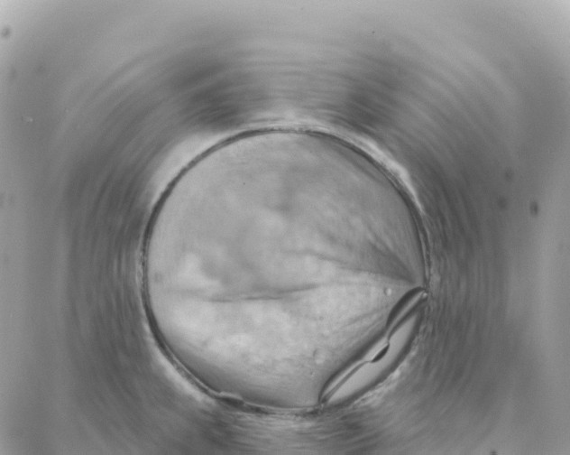 X0000088381239200706121137