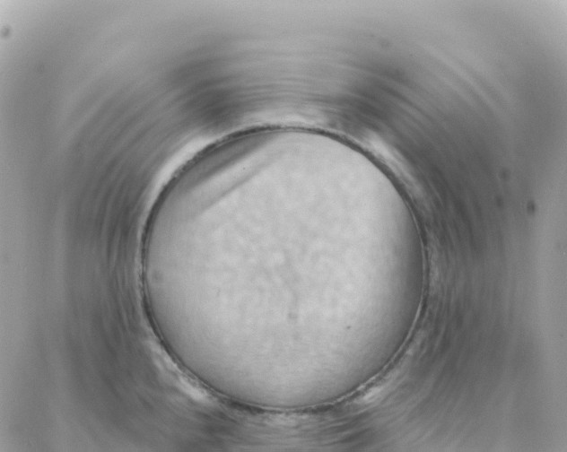 X0000088381240200706121137