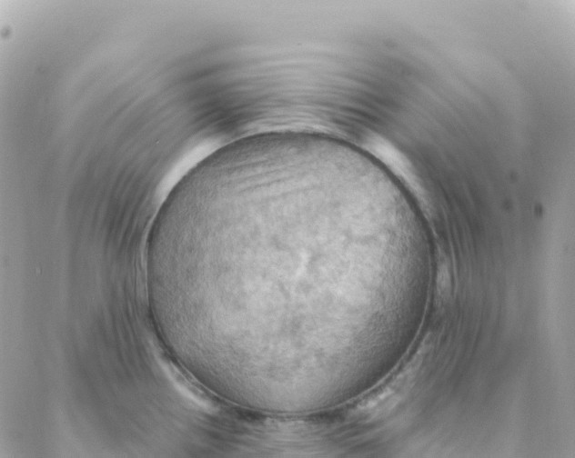 X0000088381242200706121137