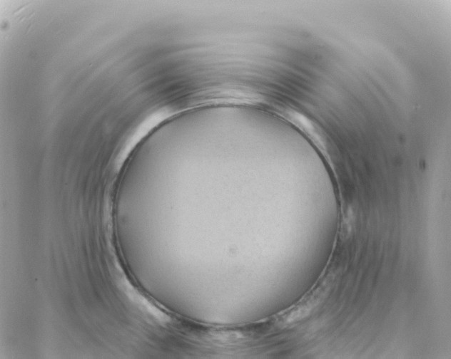 X0000088381243200706121137