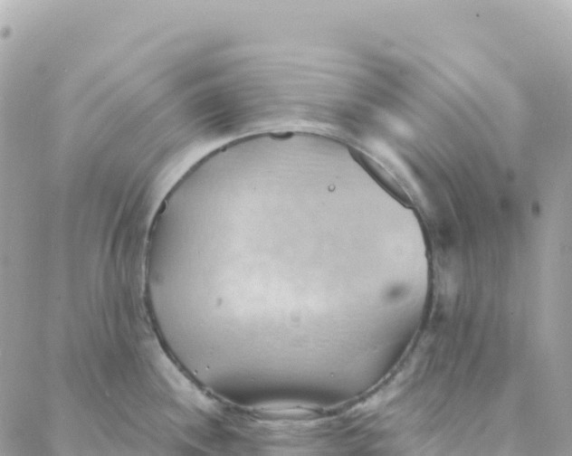 X0000088381244200706121137