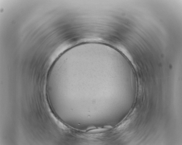 X0000088381245200706121137