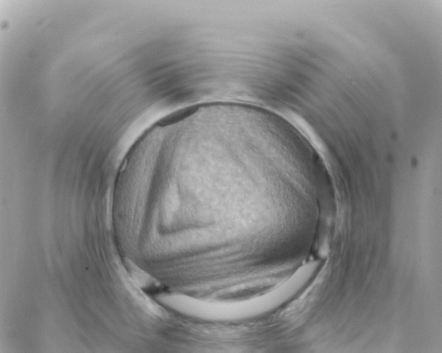 X0000088381246200706121137