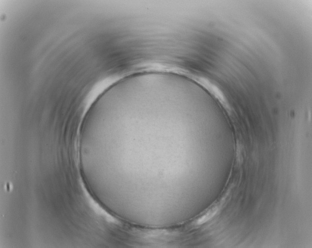 X0000088381247200706121137