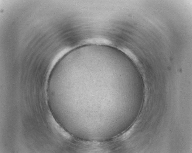 X0000088381248200706121137