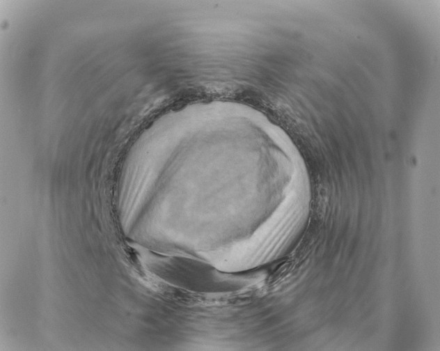 X0000088381249200706121136