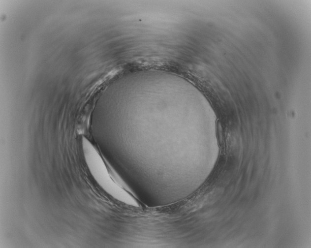 X0000088381250200706121136