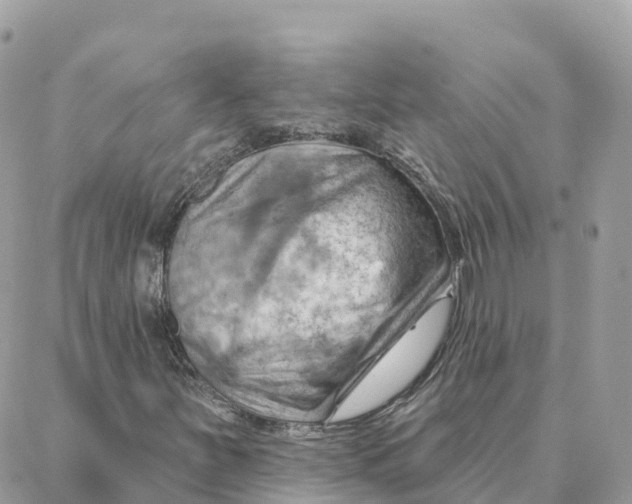 X0000088381251200706121136