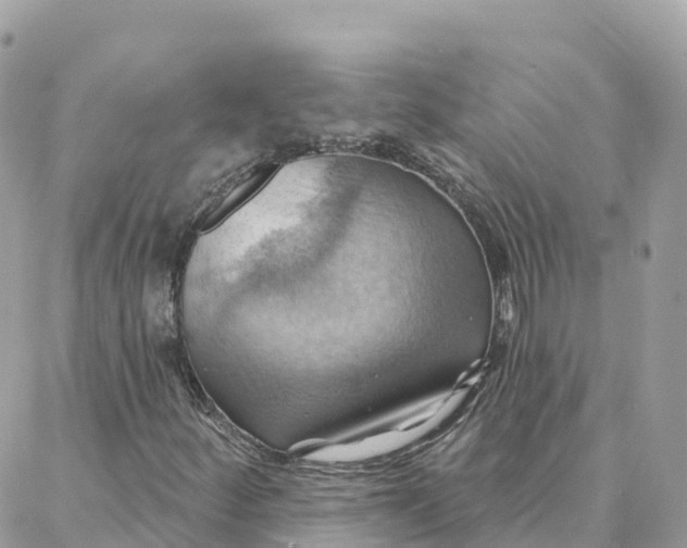 X0000088381252200706121136