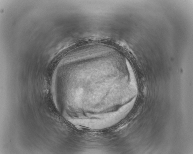 X0000088381253200706121136