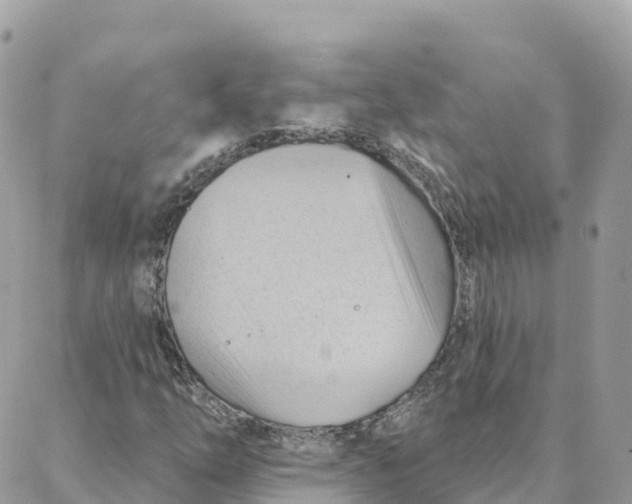 X0000088381254200706121136